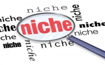 2 Tips voor een succesvolle niche website